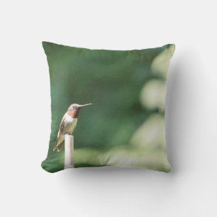Count your blessings pillow