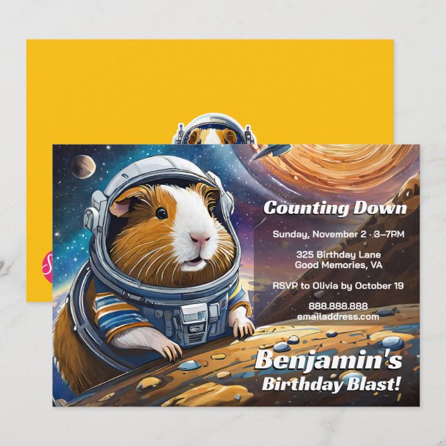 Countdown to Guinea Pigs in Space Birthday Invitation (Front/Back)
