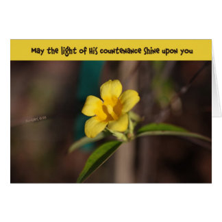 Countenance on Carolina