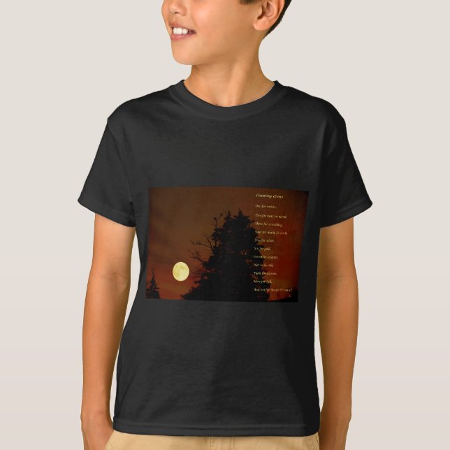 Counting Crows T-Shirt (Front)