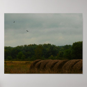Country Bales Poster