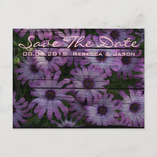 country barn wood purple daisy wedding announcement postcard