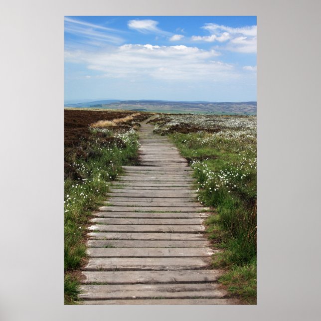 Country Boardwalk Pathway Poster (Front)