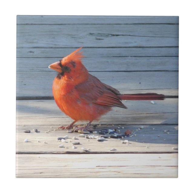 Country Cardinal Decorative Tile (Front)