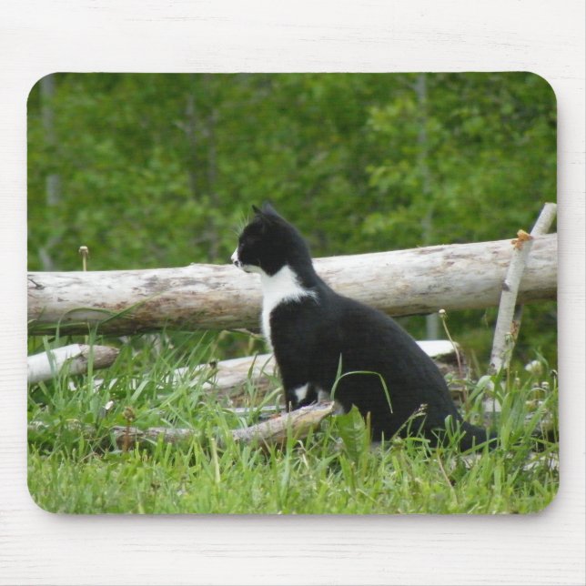 Country Cat Mouse Pad (Front)
