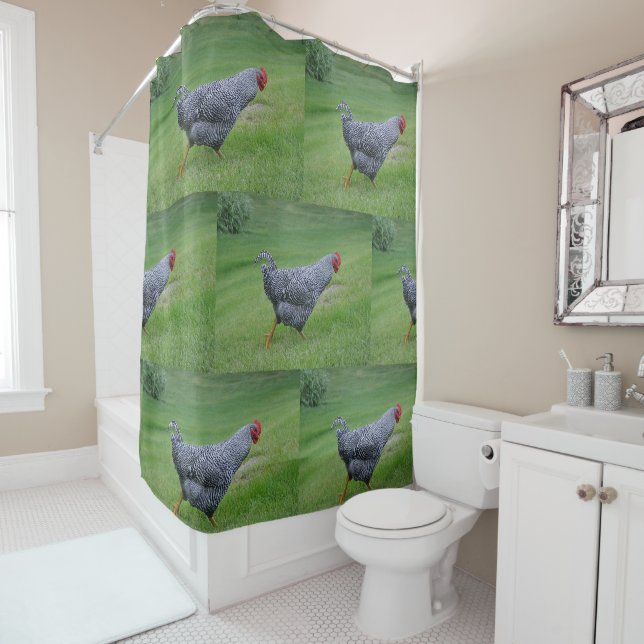 Country Chicken (In Situ)
