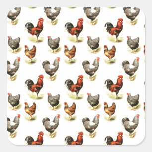 Country Chicken Pattern Square Sticker
