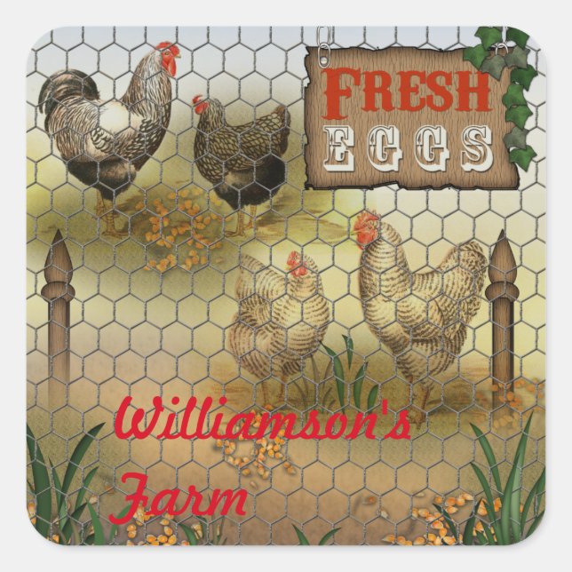 Country Chickens Farm Fresh Eggs Name Square Sticker (Front)