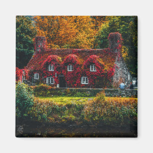 Country Cottage with Red Vines Covering Home Magnet