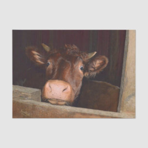 Country Cow In Barn Rustic Funny Farm Tissue Paper