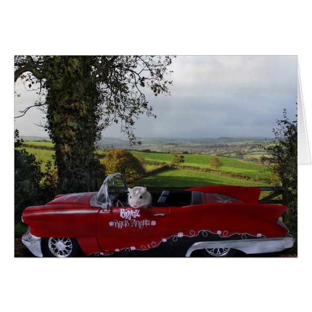 Country Drive (Front Horizontal)