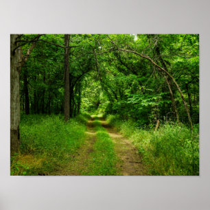 Country Driveway Poster