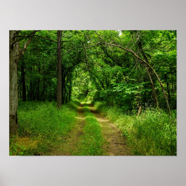 Country Driveway Poster (Front)