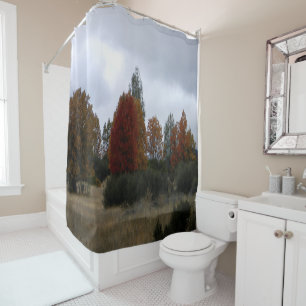 Country Fall colors......