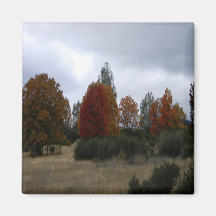 Country Fall colours..... Magnet