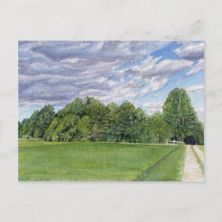 Country Field Postcard