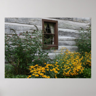 Country Flowers Poster