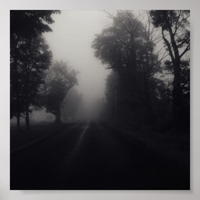 country fog poster (Front)