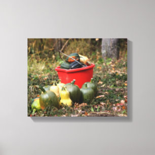 Country Garden Squash Harvest  Canvas Print