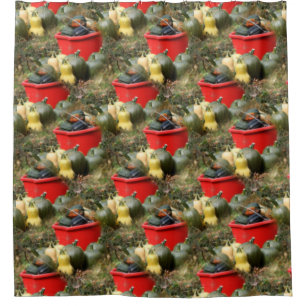 Country Garden Squash Nature Pattern