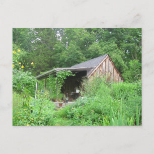Country Herb Store Postcard