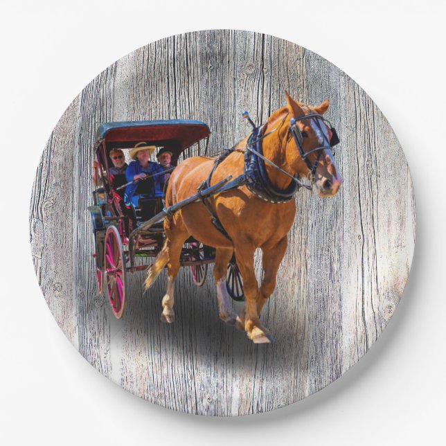 COUNTRY HORSE AND CARRIAGE PAPER PLATES (Front)