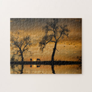 Country Horses in Southwestern Sunset  Jigsaw Puzzle