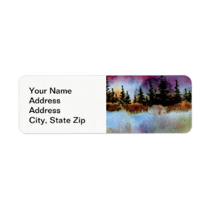 Country landscapes and scenic views pines, fog