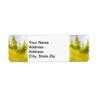 Country landscapes scenic views spring pine tree.