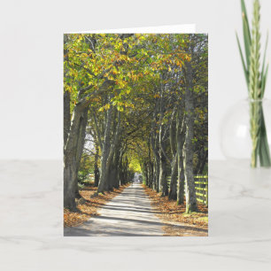 Country lane in Jersey Holiday Card