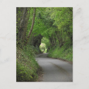 Country Lane Postcard