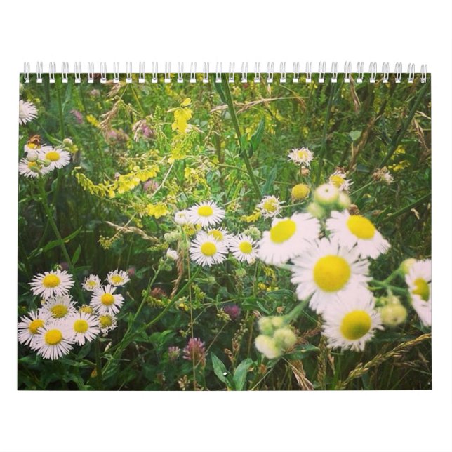 Country Life Calendar (Cover)