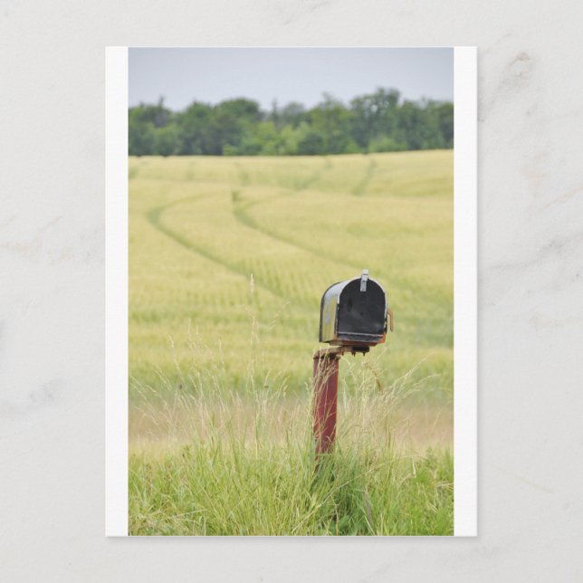 Country Mailbox Postcard (Front)