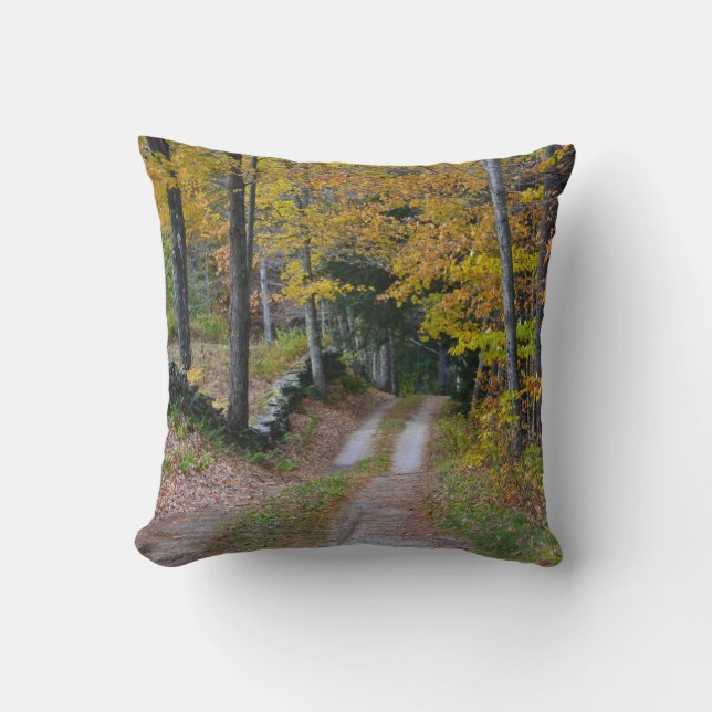 Country Path Throw Pillow (Front)