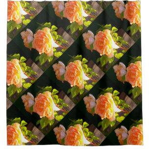 Country Peach Roses