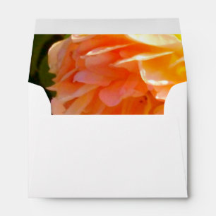 Country Peach Roses Envelope