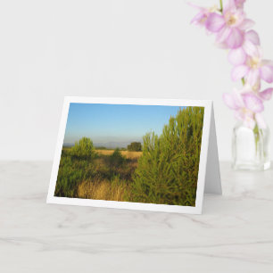 Country Pine Trees Card