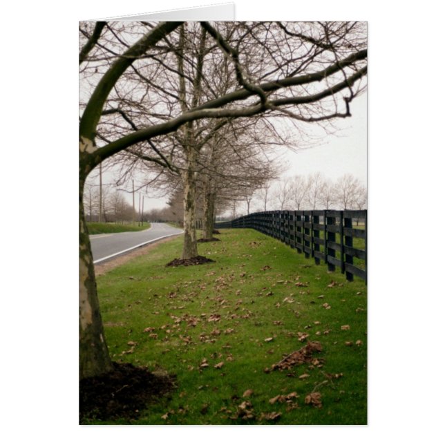 Country Road (Front)