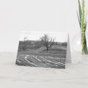Country Road 7 x 5 Folded Greeting Card - blank