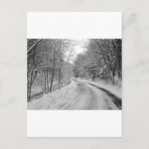 Country Road Black and white image with snow Postcard