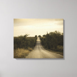 Country Road Canvas Print