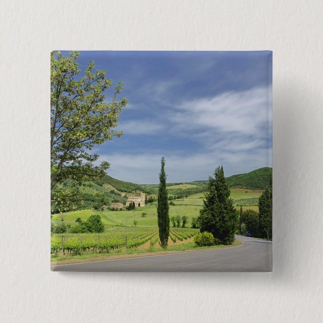 Country road curving between cypress trees in 2 inch square button (Front)