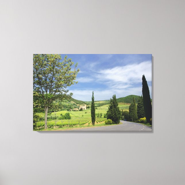 Country road curving between cypress trees in canvas print (Front)