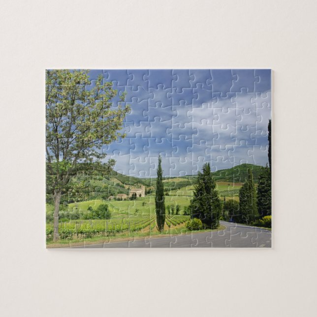 Country road curving between cypress trees in jigsaw puzzle (Horizontal)