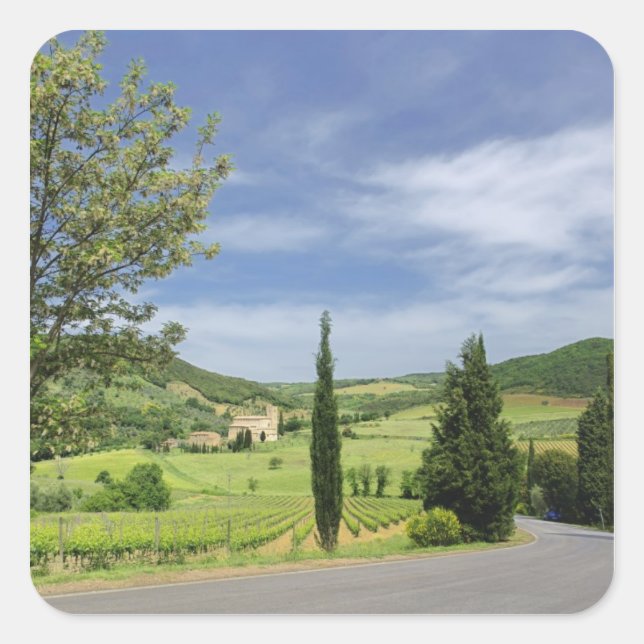 Country road curving between cypress trees in square sticker (Front)