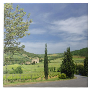 Country road curving between cypress trees in tile