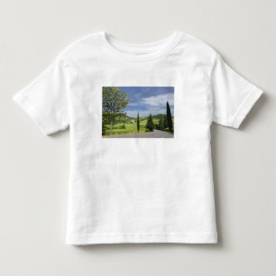 Country road curving between cypress trees in toddler t-shirt