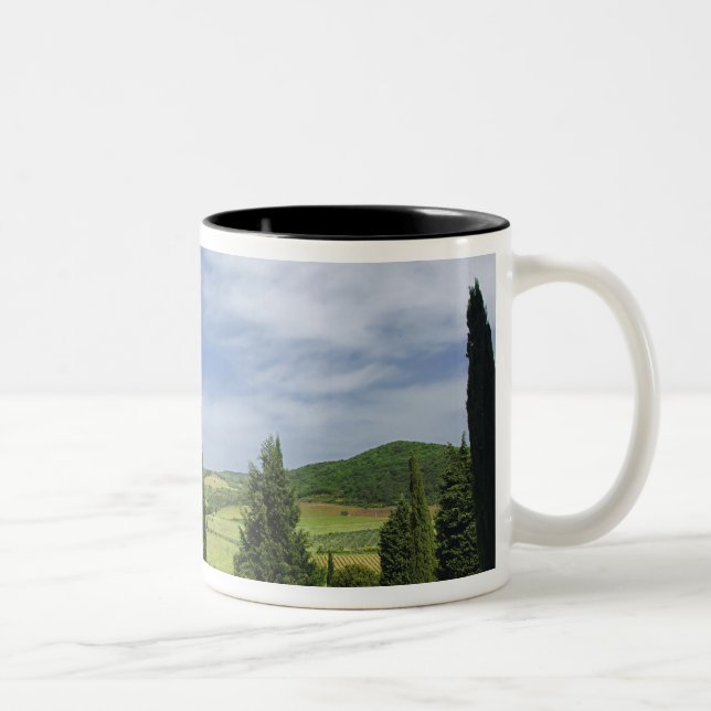 Country road curving between cypress trees in Two-Tone coffee mug (Right)