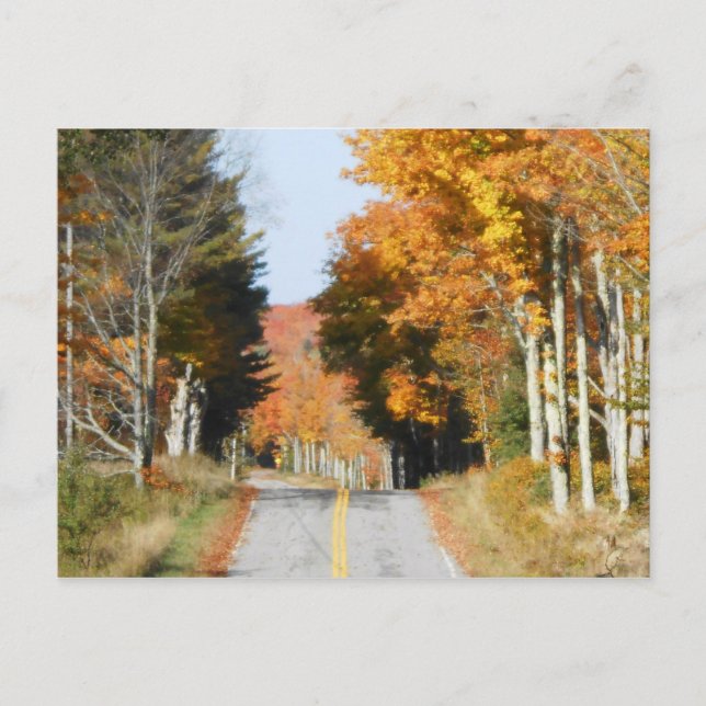 Country Road High Peaks Lake Placid Autumn Leaves Postcard (Front)