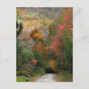 Country Road in Autumn Postcard